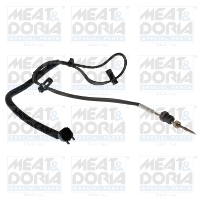 Sensor, exhaust gas temperature